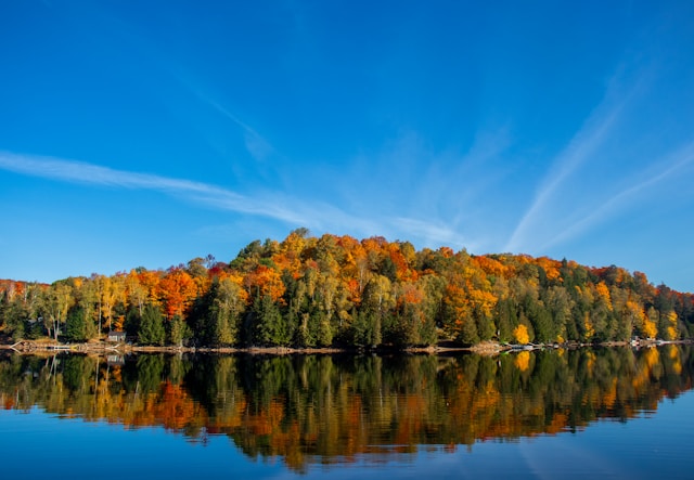 Haliburton County landscape